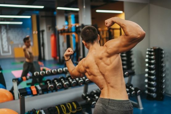 Nebido 1000 mg Bayer en la Musculación